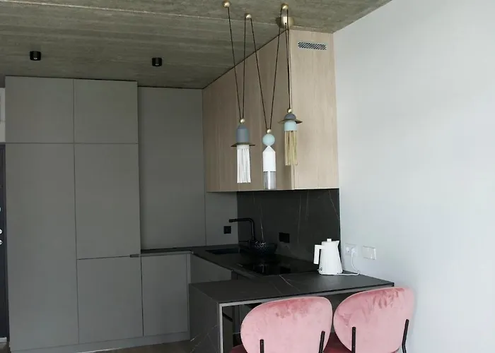 Butas Ralio Apartamentai Monkey