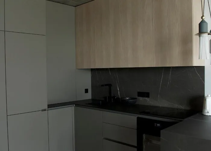 Ralio Apartamentai Monkey Vilnius