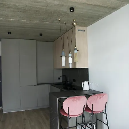 Apartament Ralio Apartamentai Monkey Wilno